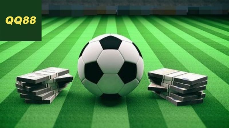 Các lựa chọn hàng đầu trên QQ88