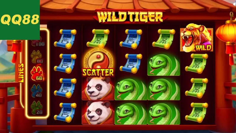 So sánh giữa slot 2D và 3D